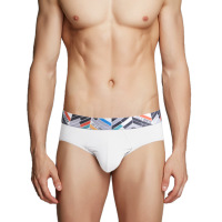uploads/erp/collection/images/Underwear men/kalvonfu/XU0114649/img_b/img_b_XU0114649_1_ZiIGeoVSK4i7N3yozofJb6-4p5l2imDa